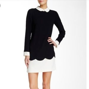 Cece Navy & Black Peter Pan Collar Scalloped Dress